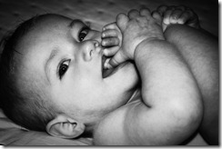 IMG_1562 copy