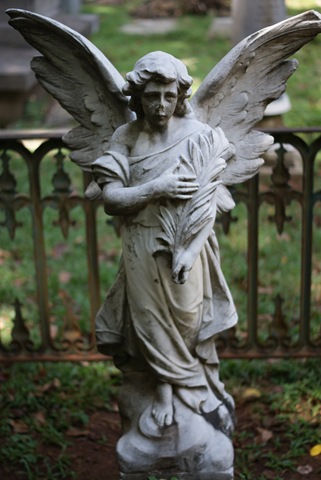 [DSC00958[3].jpg]