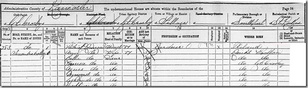 1891-census-blog