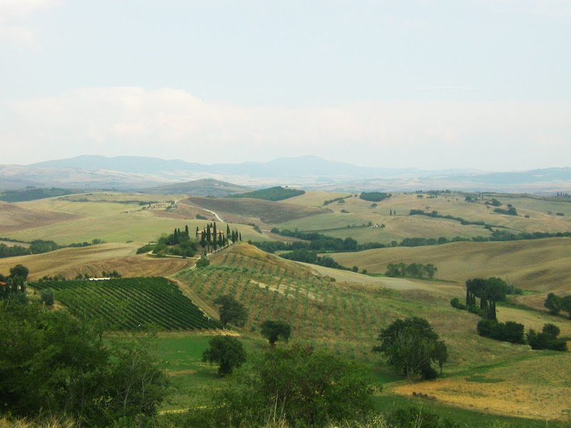 红心