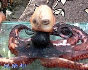 [clip_image001[4].jpg]