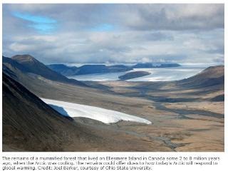 [clip_image001[4].jpg]