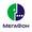 Мегафон Мегафон