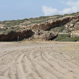 129.JPG