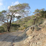 209.JPG