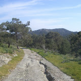 182.JPG