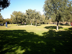 Parque del Alamillo