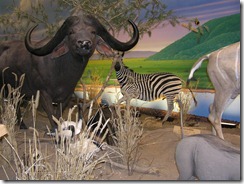 Cabelas Sporting Store