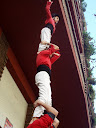 http://lh4.ggpht.com/_Mf0WlVqeCbM/SwQit3CwE2I/AAAAAAAABcQ/FUUqnC1jtkM/PB070091.JPG