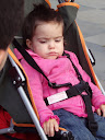 http://lh4.ggpht.com/_Mf0WlVqeCbM/SwQrm9B4cbI/AAAAAAAABj8/SE6EXne4nrw/PB070217.JPG