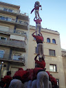 http://lh4.ggpht.com/_Mf0WlVqeCbM/SwrHunqz6lI/AAAAAAAACtU/7WRzLkLc8sQ/PB220382.JPG