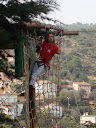 http://lh4.ggpht.com/_Mf0WlVqeCbM/SwrfPwk2UqI/AAAAAAAADBg/wff1qG6pBPQ/PB140555.JPG