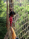 http://lh4.ggpht.com/_Mf0WlVqeCbM/Swrg6DEV6pI/AAAAAAAADDo/h1AiS6P8i4c/PB140686.JPG