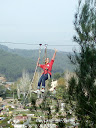 http://lh4.ggpht.com/_Mf0WlVqeCbM/SwrhNLo5vHI/AAAAAAAADEA/ERLyx9MAPDc/PB140709.JPG