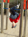 http://lh4.ggpht.com/_Mf0WlVqeCbM/SwrksJqti3I/AAAAAAAADIk/nAlbhyITHbA/PB141004.JPG