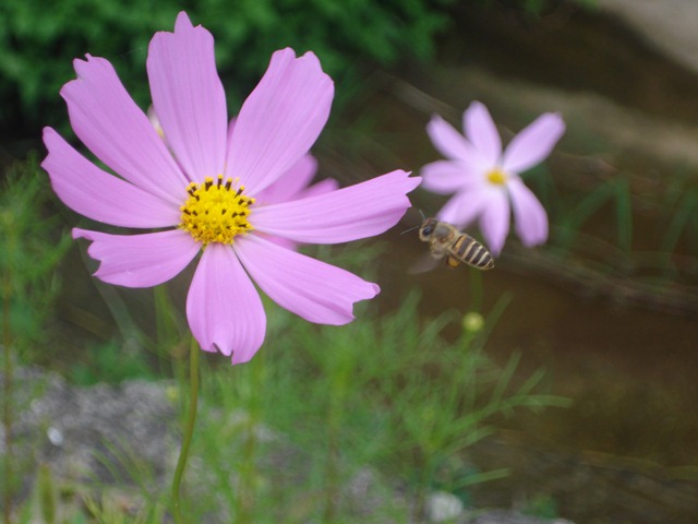 [DSC061783.jpg]