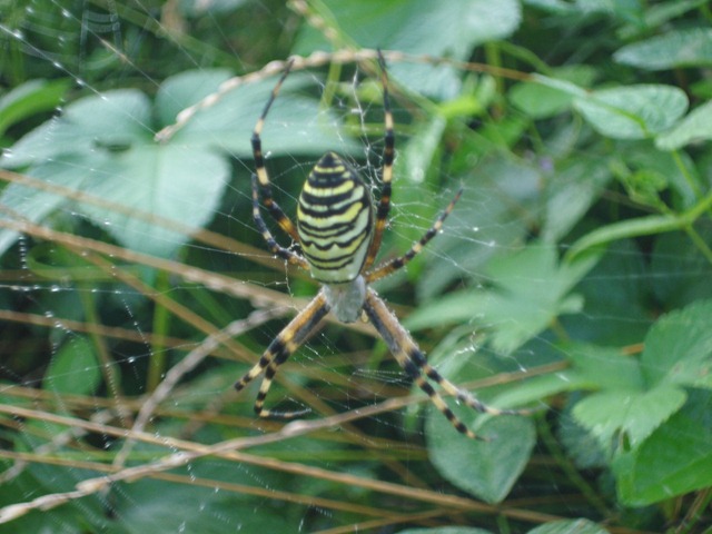 [DSC062083.jpg]
