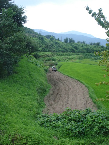 [DSC062293.jpg]