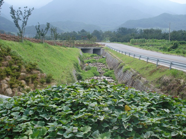 [DSC062273.jpg]