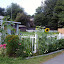 Sne Irish's Cottage garden