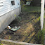 SneIrish's Vegetable & Fruit garden