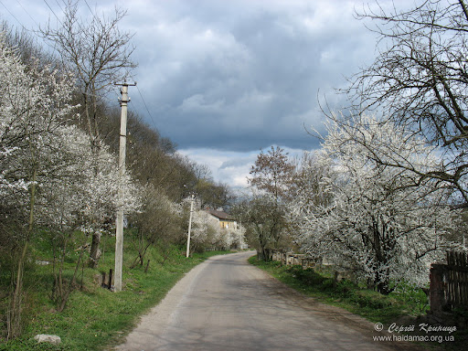 дорога до Микулинецького