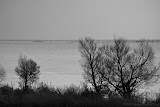 IMG_1701_bartuskn.nl.jpg