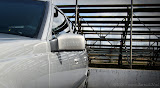 IMG_1437_bartuskn.nl.jpg
