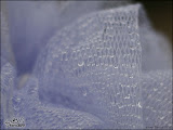 50mmtest3.jpg