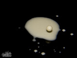 druppels3.jpg