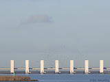 071208-03.jpg