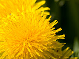IMG_8376_bartuskn.nl.jpg