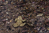 IMG_8215_bartuskn.nl.jpg