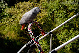IMG_0451_bartuskn.nl.jpg