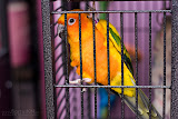 IMG_1050_bartuskn.nl.jpg