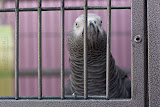 IMG_1062_bartuskn.nl.jpg