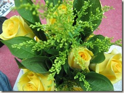 m_IMG_2291 m_IMG_2291