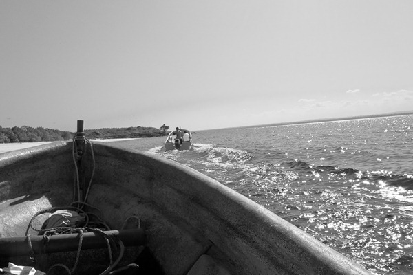P1040292 P1040292
