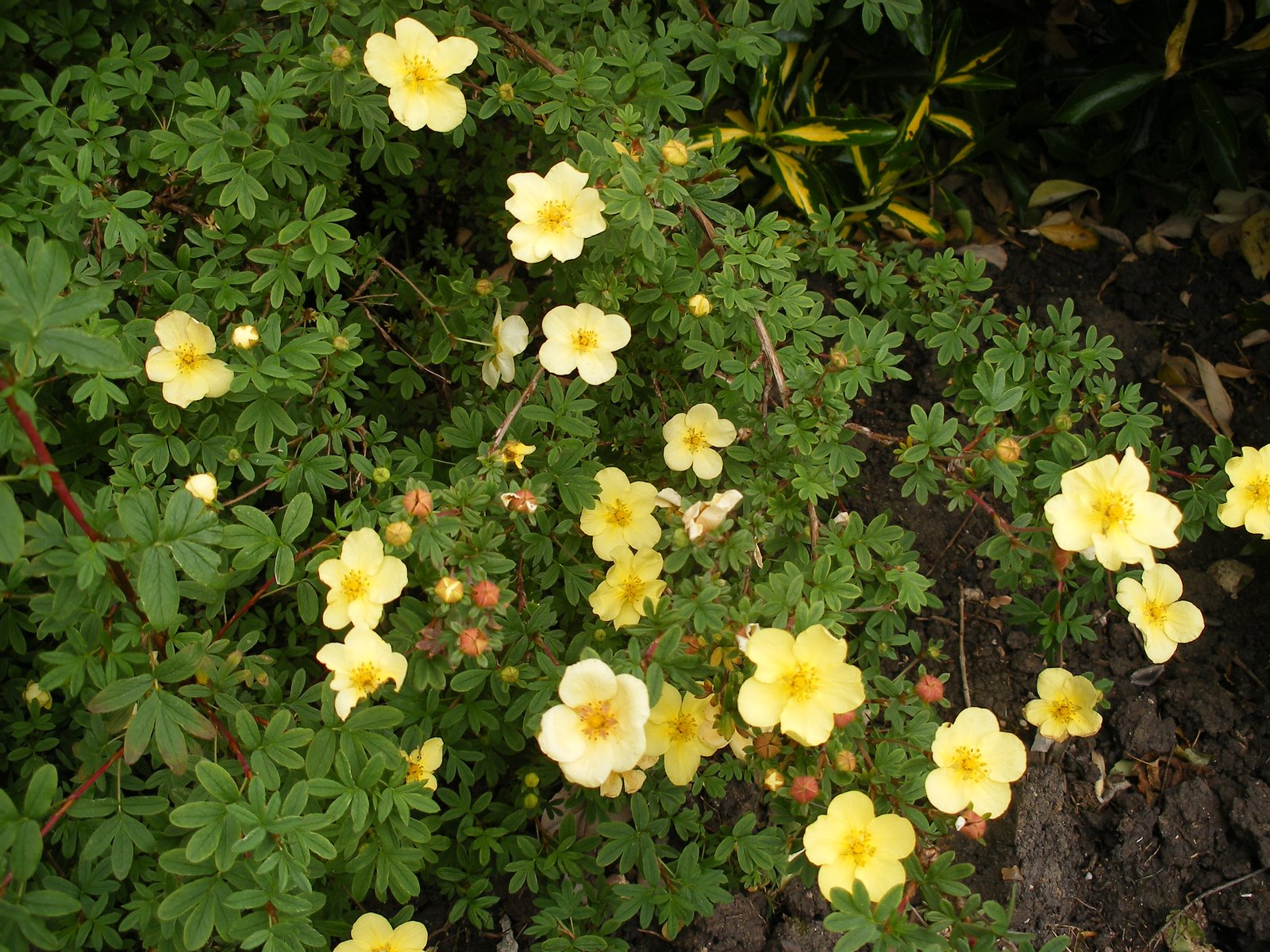 [DSCF6115.JPG]