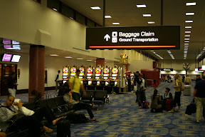 IMGP3876.JPG