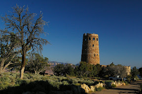 IMGP4459.JPG