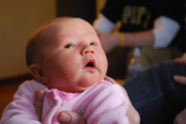 [DSC_0837[3].jpg]