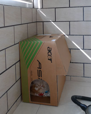 P1050081.JPG