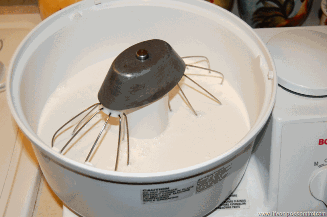 [Bosch18.gif]