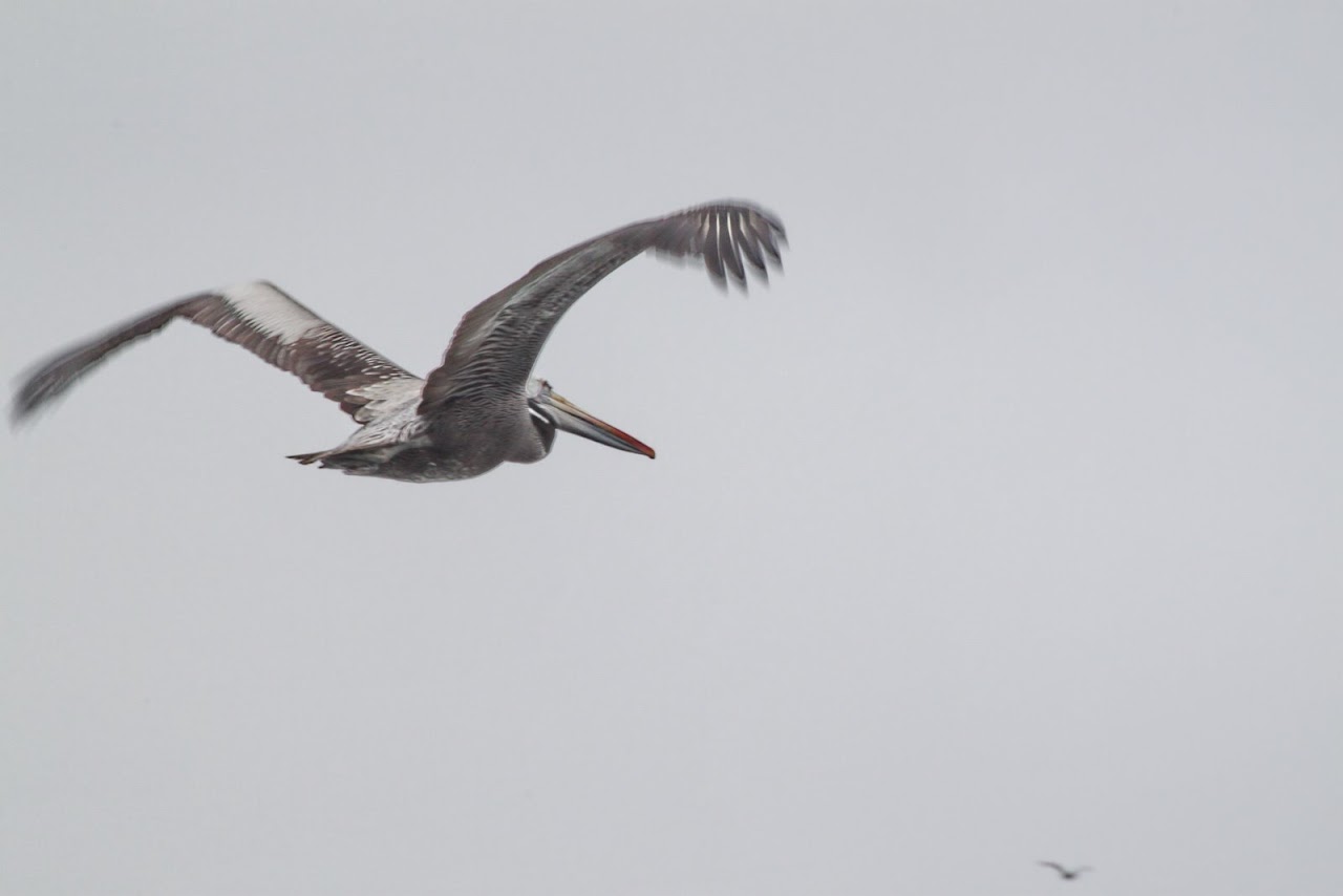 Галопом по перуанским Андам