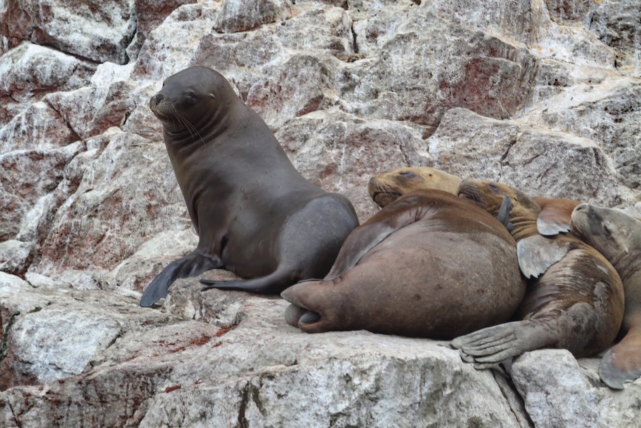 Галопом по перуанским Андам