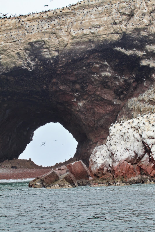 Галопом по перуанским Андам