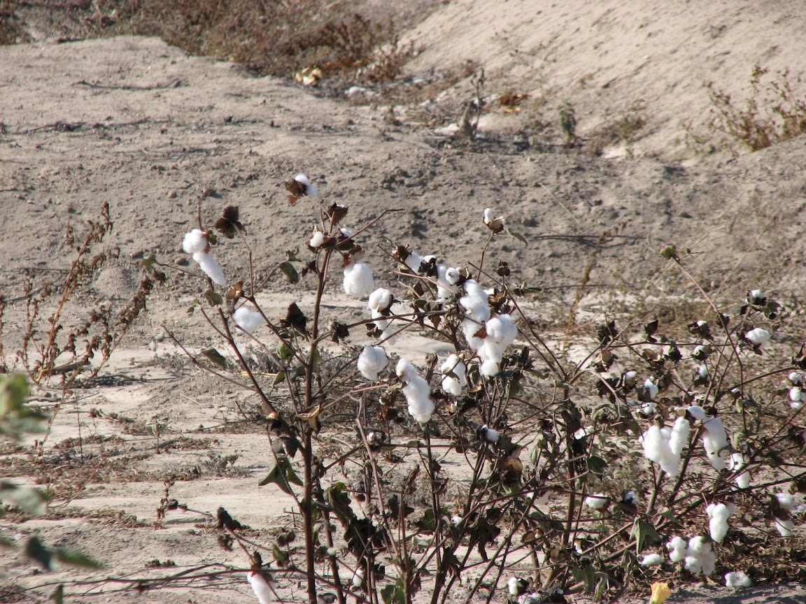 Галопом по перуанским Андам