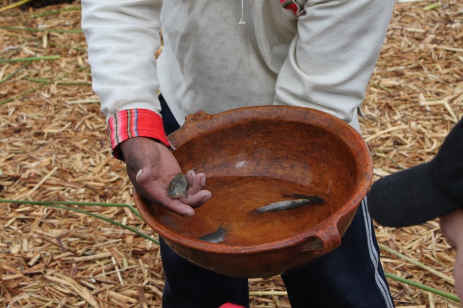 Галопом по перуанским Андам