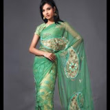 Indian%20Net%20Sarees11 Indian Net Sarees